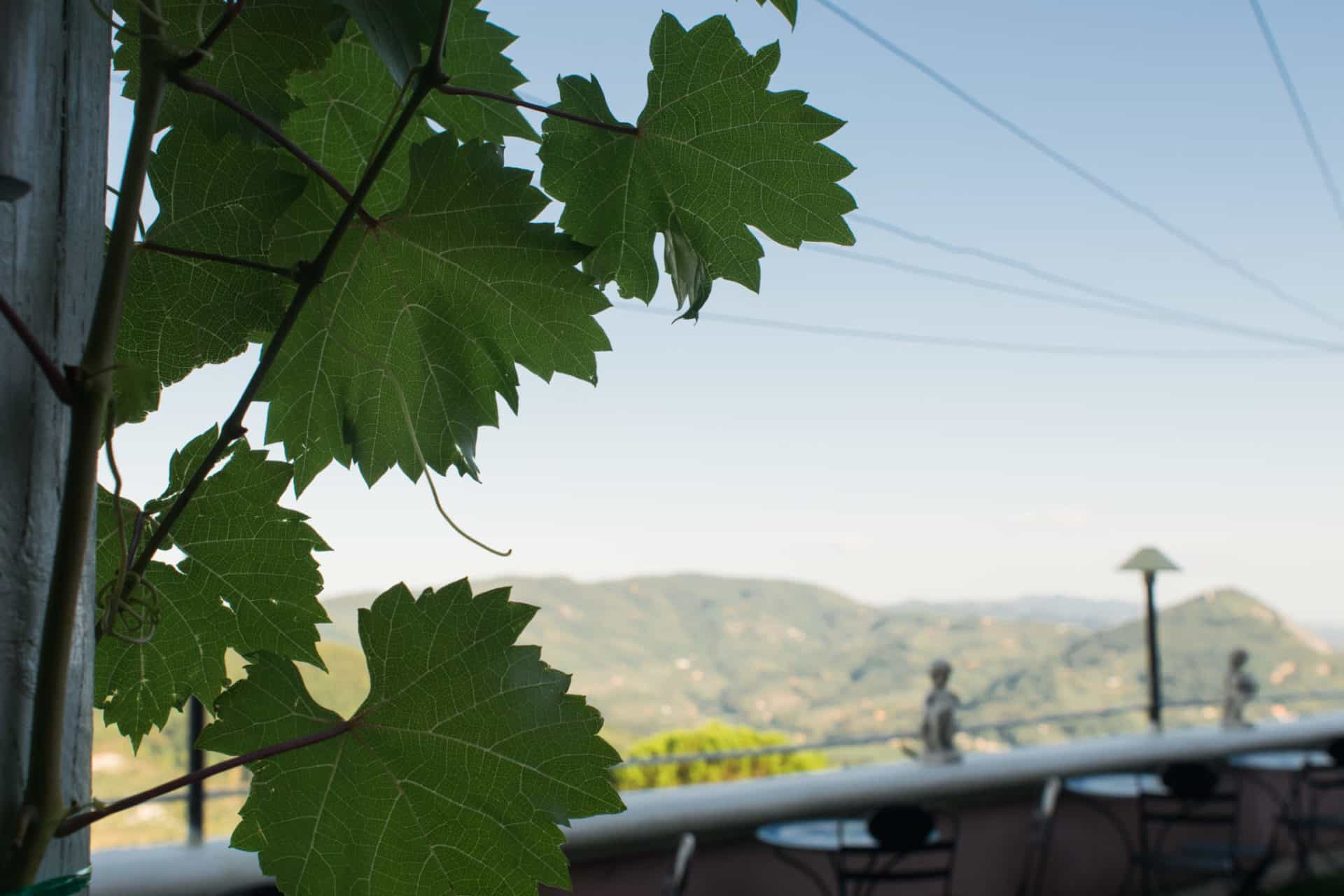 Il Ristorante panoramico a Montecatini con specialità toscane